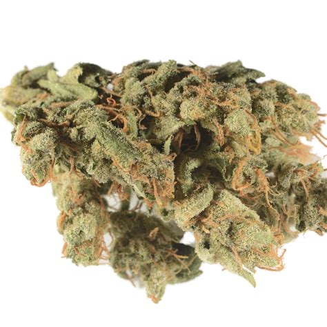 Kachook strain. Kaboom is a cross that combines Jack's Cleaner genetics with Vortex. This sativa-dominant strain gives you an energetic head buzz that provides a spark of creativity and lifts the mood. 