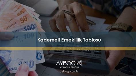 Kademeli Halı ve Koltuk Yıkama