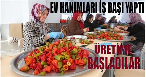 Kadinlar Halı ve Koltuk Yıkama