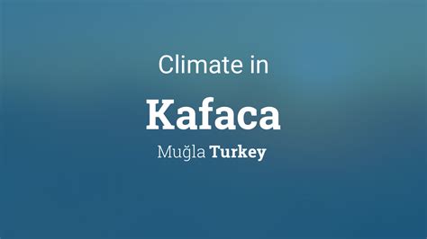Kafaca Halı ve Koltuk Yıkama