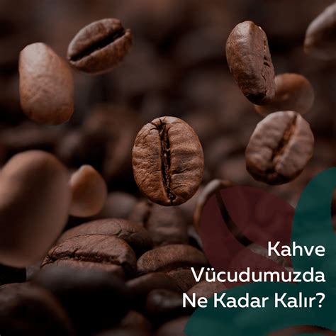 leosephi.rgarabwor.edu.pl. 