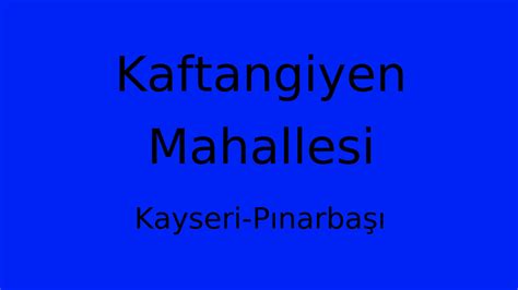 Kaftangiyen Halı ve Koltuk Yıkama