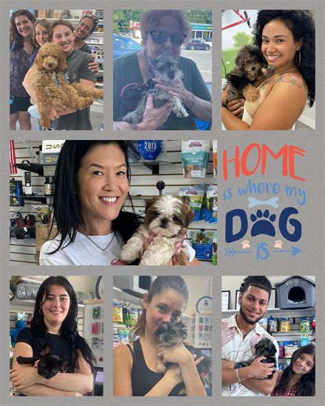 The closest pet store for us Hawaii Kai residents was the Hawaii Kai Town center and the Hawaii Kai Shopping center (both the Costco and the Longs shopping centers have smaller pet stores). Otherwise, prepare to trek to Petland in Kahala.. 