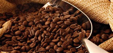 Kahve telvesinin yararları