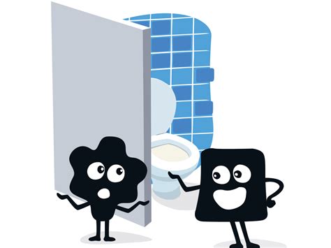 Kak Halı ve Koltuk Yıkama