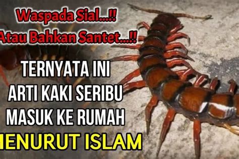 Kaki seribu masuk rumah togel. Keluar nomor hongkong hari.
