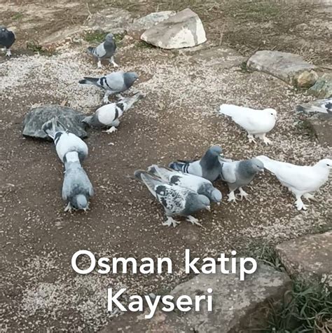 Kalbakli Halı ve Koltuk Yıkama
