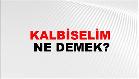 Kalbiselim Halı ve Koltuk Yıkama