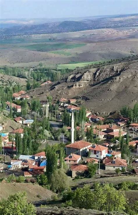 Kalederesi Halı ve Koltuk Yıkama