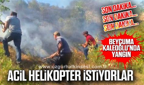 Kaleoglu Halı ve Koltuk Yıkama