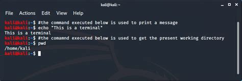 Kali Linux Terminal and Shell GeeksforGeeks.