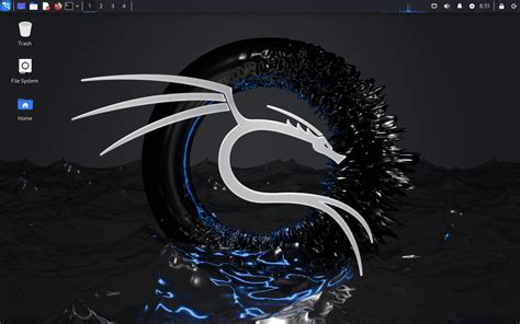 Kali computer.  Make an informed Kali Linux has gained widespread popularity, especially a...