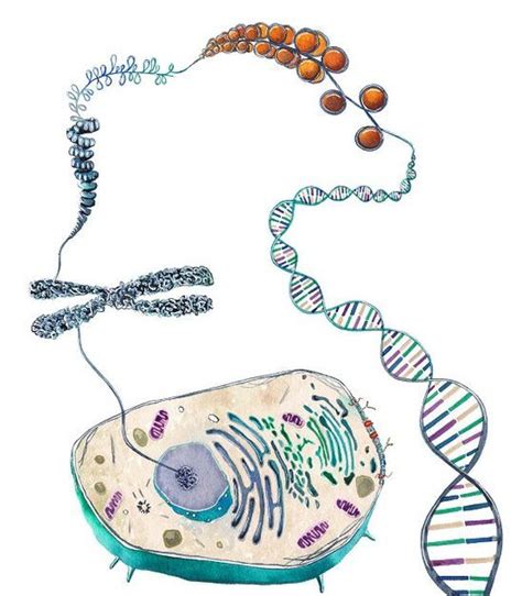Kalitim Halı ve Koltuk Yıkama