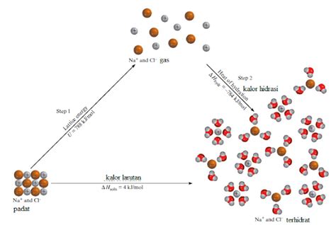 Kalor Pelarutan dan Kalor Pengenceran ~ KAMPUS DIGITAL