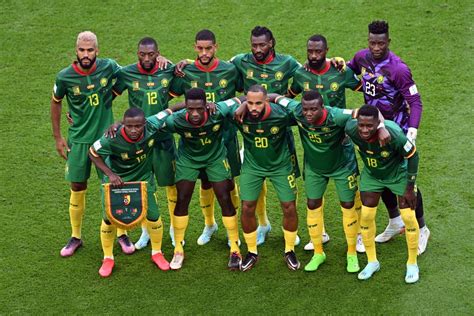 Kamerun kader wm 2014
