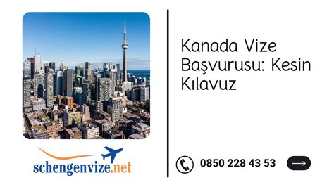 codini.rgarabwor.edu.pl. 