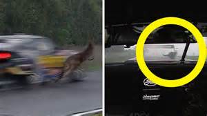 Kangaroo Crash & Chaotic Moments: Maro Engel Wins Bathurst 12 Hour 2023 Highlights (2026)