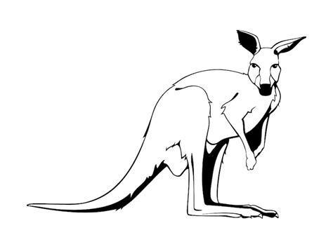 Kangaroo Outline - Etsy