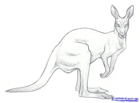 Kangarose Onlyfans Leak