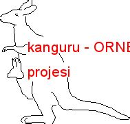 Kanguru 2D: What Is 2D Art? image 1