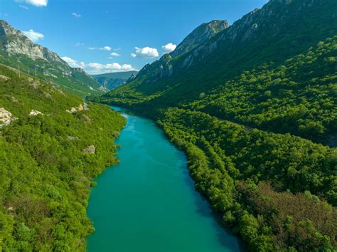 Kanjon &ndash; Wikipedia