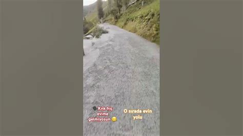 codini.rgarabwor.edu.pl. 