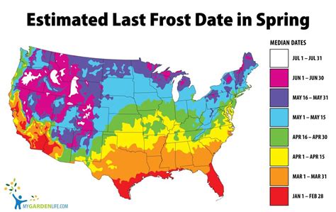 A frost date is the average date of the last light freeze in spring or