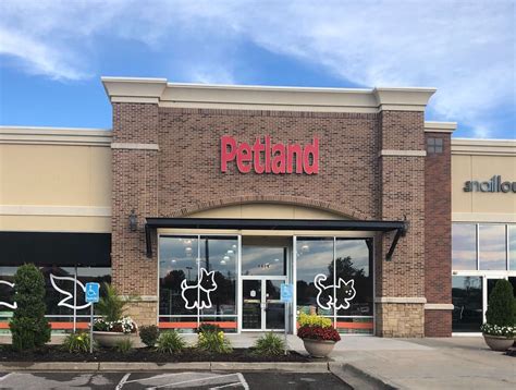 Kansas city petland. Search job openings at Petland. 35 Petland jobs including salaries, ratings, and reviews, posted by Petland employees. Community; ... Kansas City, MO. $13.00 ... 