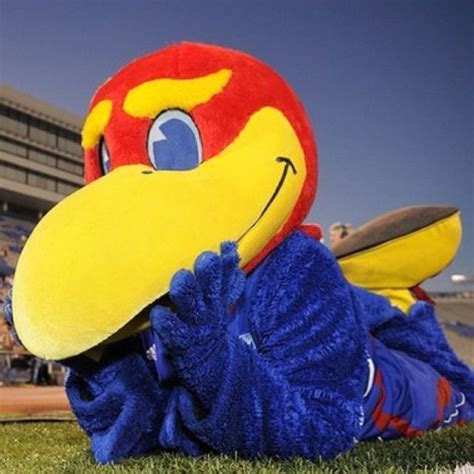 Kansas college mascot. Things To Know About Kansas college mascot. 