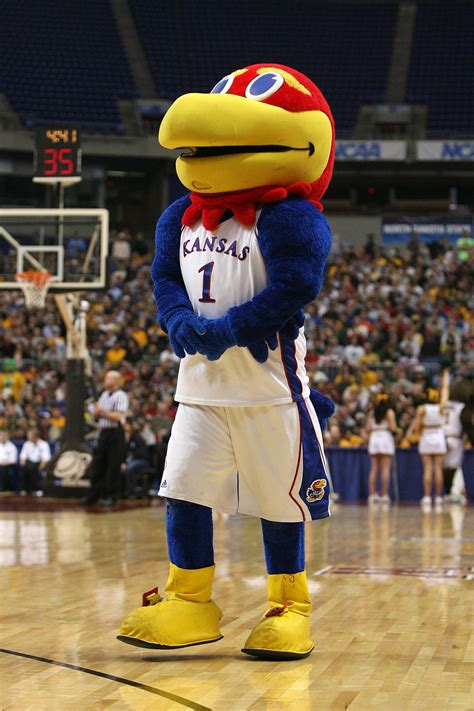 Traditions. History of the Jayhawk. Mascots are believed to bring good luck, especially to athletic teams. Just about every college and university claims a mascot. The University of Kansas is home to the Jayhawk, a mythical bird with a fascinating history. The origin of the Jayhawk is rooted in the historic struggles of Kansas settlers.. 