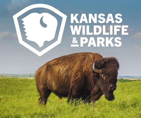 Kansas department of wildlife parks and tourism. Environmental Scientist I (District Wildlife Biologist) Kansas Department of Wildlife, Parks and Tourism Dec 2012 - Sep 2016 3 years 10 months 