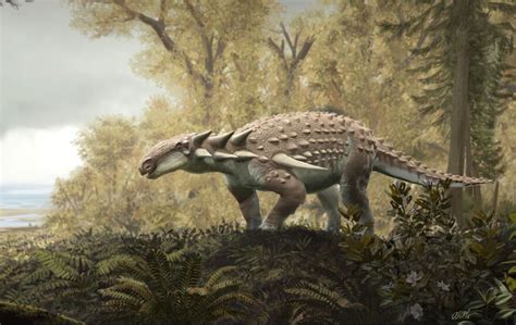 Known as the only known dinosaur from the Dakota Formation in Kansas, Silvisaurus Condrayi was a medium-sized, four-legged, armor-plated plant eater, according to a press release from the State of .... 