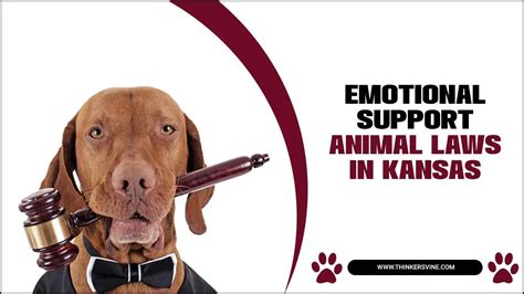 Kansas emotional support animal. Things To Know About Kansas emotional support animal. 