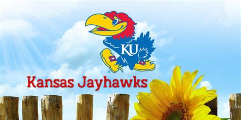 Kansas jayhawk radio. Things To Know About Kansas jayhawk radio. 