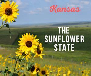 Kansas nickname. Kansas, situated on the American Great Plains, became the 34th state on January 29, 1861. ... Nickname(s): Sunflower State; Wheat State; Jayhawk State. Motto: Ad astra per aspera (“To the stars ... 