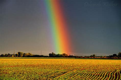 Kansas rainbow. Things To Know About Kansas rainbow. 