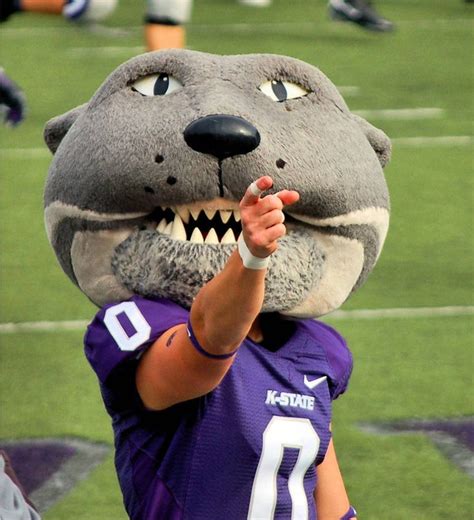 Kansas state university mascot. 06-Oct-2012 ... Kansas State's mascot, Willie the Wildcat, lowers the boom during Saturday's game against rival. The perfect form tackle: Stay low. Keep your ... 
