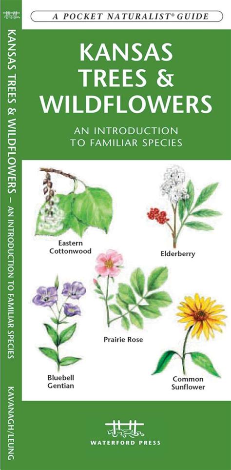 Kansas trees and wildflowers a folding pocket guide to familiar species pocket naturalist guide series. - Stranded in the himalayas leader apos s manual.