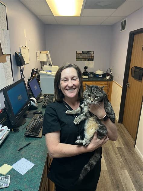 Welcome to the Veterinary Health Center (VHC) at Kansas State University. Whether your animal is a new patient, life-long visitor, or a recent referral, we are honored that you and your referring veterinarian …. 