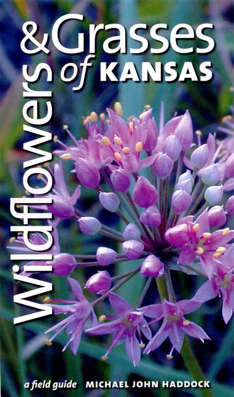 Guide to growing & indentification of native & introduced wildflowers, weeds, grasses, trees, shrubs, and vines of Kansas. Contains a searchable database of …. 