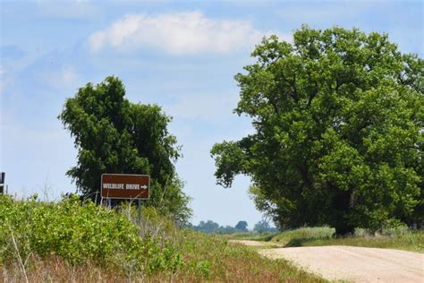 The Kansas Department of Wildlife, Parks and Tourism began implementing strategies in September 2011 to increase the amount of youth hunting opportunities on the Cedar Bluff Wildlife Area. Approximately 1000 acres that was previously refuge area are now be managed as a Youth / Mentor hunting area.. 