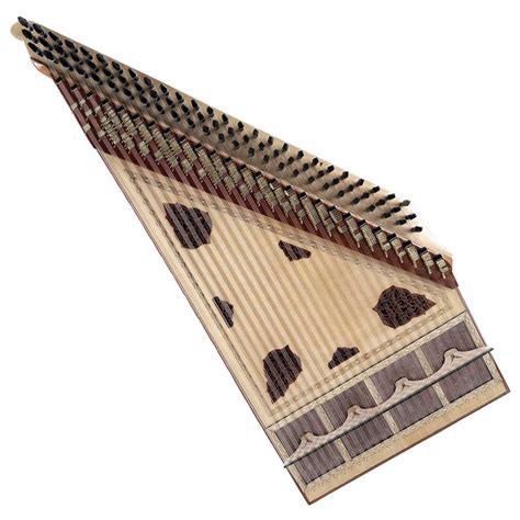 codini.rgarabwor.edu.pl. 