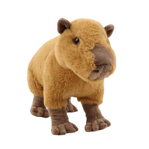 Kapibara satılık