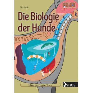 Kapitel 23 geführte lesung ap biologie. - Glannon guide to contracts learning contracts through multiple choice questions and analysis glannon guides.