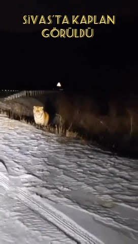 Kaplan, Sivas'ta.