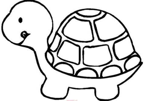 Kaplumbağa boyama