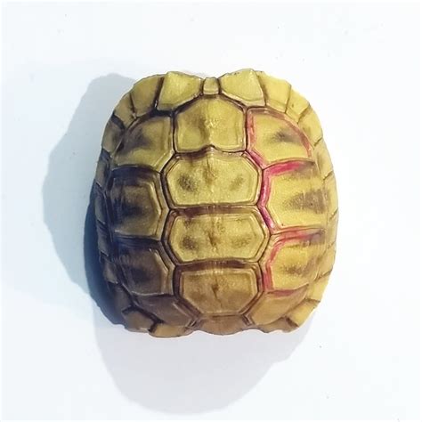 Kaplumbağa kabuğu nazar