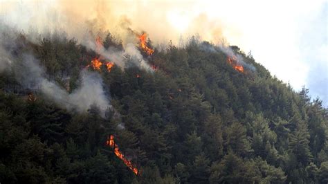 Karabük''te orman yangını