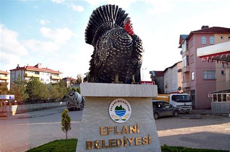 Karabük Eflani terapi halı yıkama