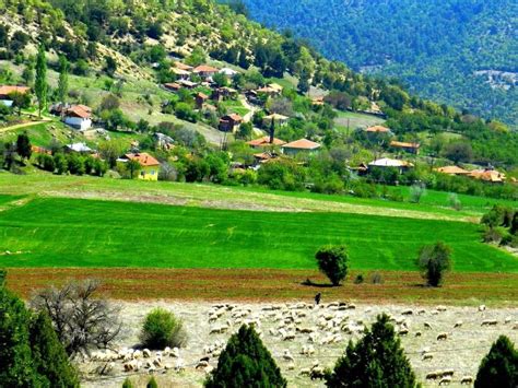 Karahisargolcuk Halı ve Koltuk Yıkama